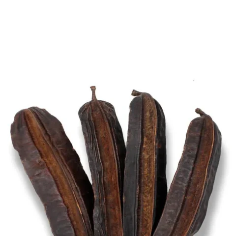 Fruta 4 lados (4 côtés)